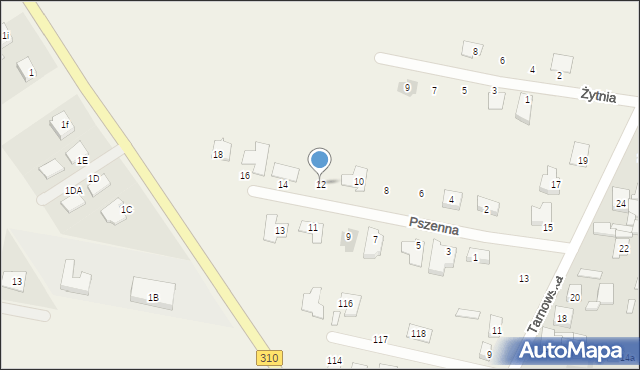 Piechanin, Pszenna, 12, mapa Piechanin
