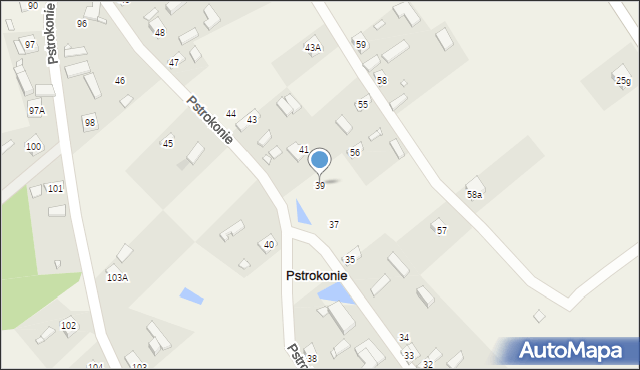 Pstrokonie, Pstrokonie, 39, mapa Pstrokonie