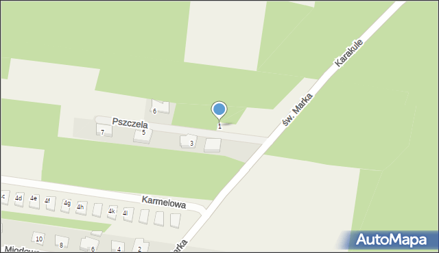 Sowlany, Pszczela, 1, mapa Sowlany