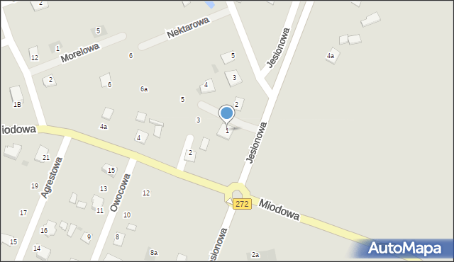 Świecie, Pszczela, 1, mapa Świecie