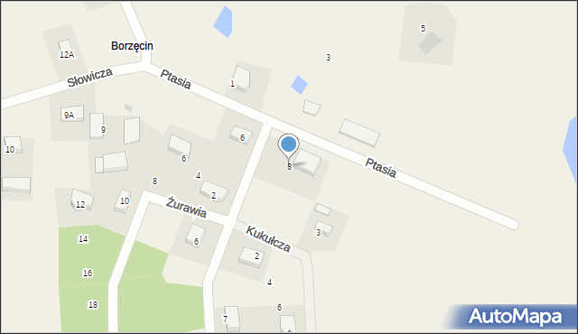 Borzęcin, Ptasia, 8, mapa Borzęcin