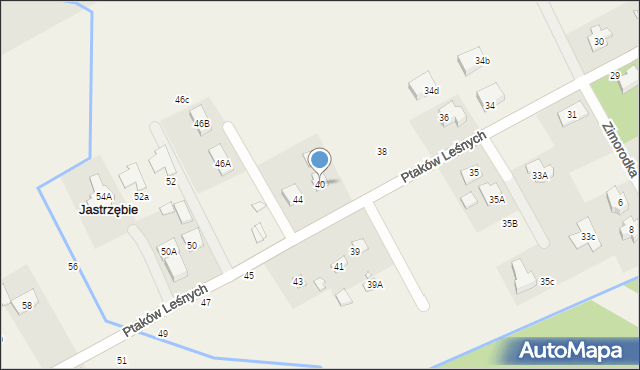 Jastrzębie, Ptaków Leśnych, 40, mapa Jastrzębie