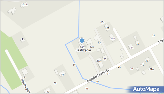 Jastrzębie, Ptaków Leśnych, 54A, mapa Jastrzębie