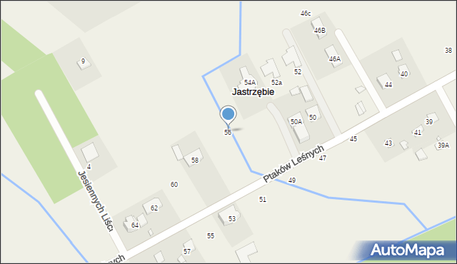 Jastrzębie, Ptaków Leśnych, 56, mapa Jastrzębie