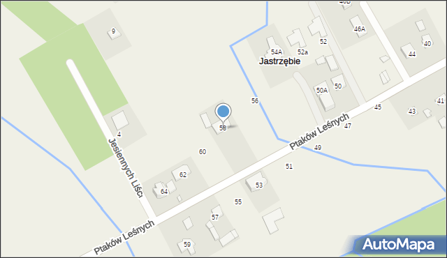 Jastrzębie, Ptaków Leśnych, 58, mapa Jastrzębie
