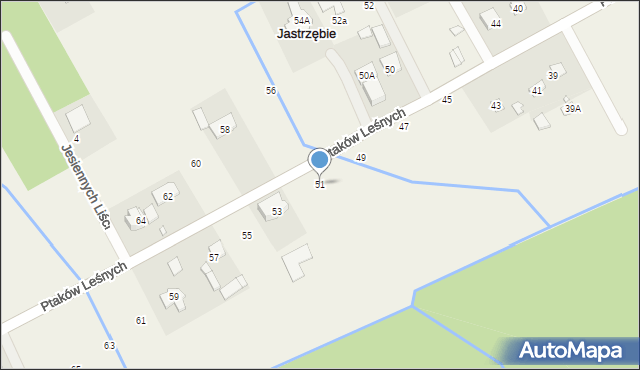 Jastrzębie, Ptaków Leśnych, 51, mapa Jastrzębie