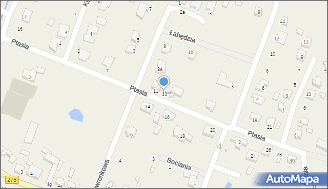 Kruszyna, Ptasia, 13, mapa Kruszyna
