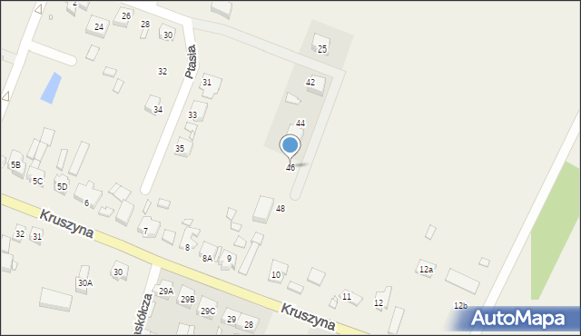 Kruszyna, Ptasia, 46, mapa Kruszyna