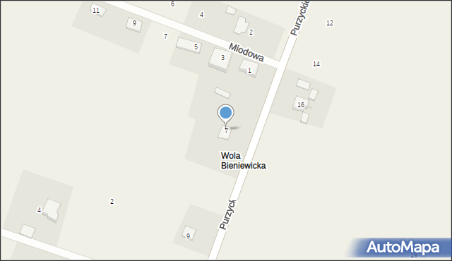 Bieniewice, Purzyckiego, 7, mapa Bieniewice