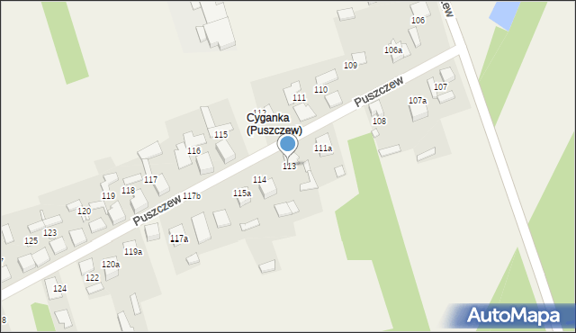 Puszczew, Puszczew, 113, mapa Puszczew
