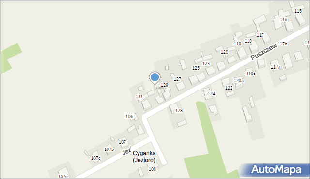 Puszczew, Puszczew, 130, mapa Puszczew