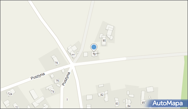 Puszyna, Puszyna, 79, mapa Puszyna