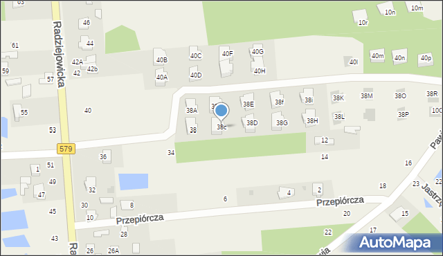 Adamowizna, Radziejowicka, 38c, mapa Adamowizna