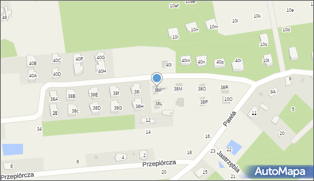 Adamowizna, Radziejowicka, 38K, mapa Adamowizna