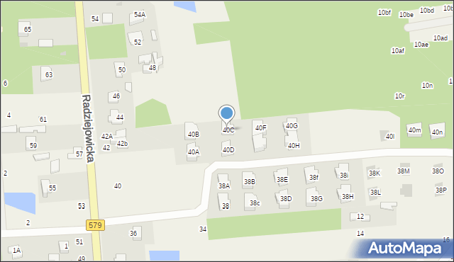 Adamowizna, Radziejowicka, 40C, mapa Adamowizna