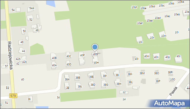 Adamowizna, Radziejowicka, 40G, mapa Adamowizna