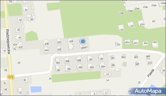 Adamowizna, Radziejowicka, 40H, mapa Adamowizna
