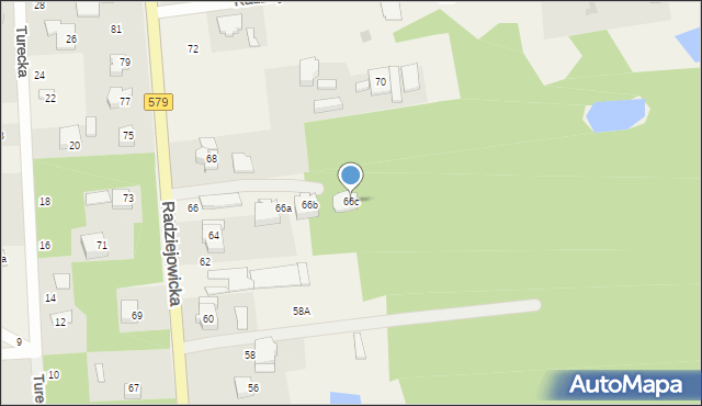 Adamowizna, Radziejowicka, 66c, mapa Adamowizna