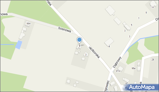 Bluszczów, Raciborska, 99, mapa Bluszczów