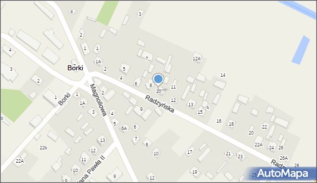 Borki, Radzyńska, 10, mapa Borki