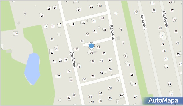 Brok, Radosna, 36, mapa Brok