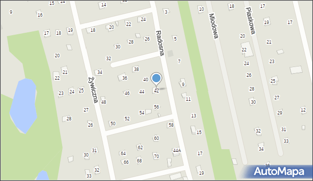 Brok, Radosna, 42, mapa Brok