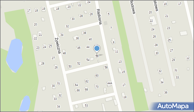 Brok, Radosna, 56, mapa Brok