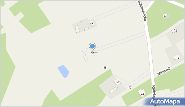 Budy Michałowskie, Radziejowicka, 36, mapa Budy Michałowskie