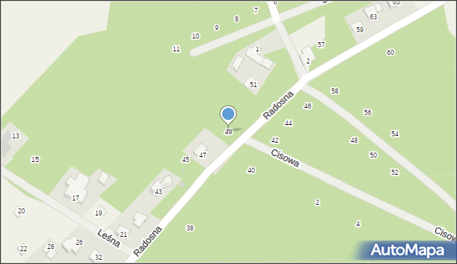 Cerekiew, Radosna, 49, mapa Cerekiew