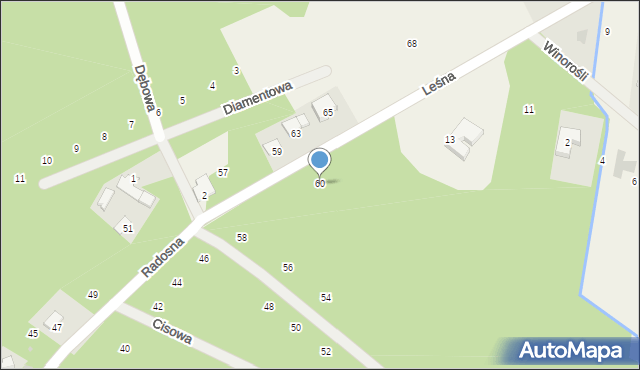 Cerekiew, Radosna, 60, mapa Cerekiew