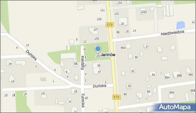 Janinów, Radziejowicka, 101, mapa Janinów