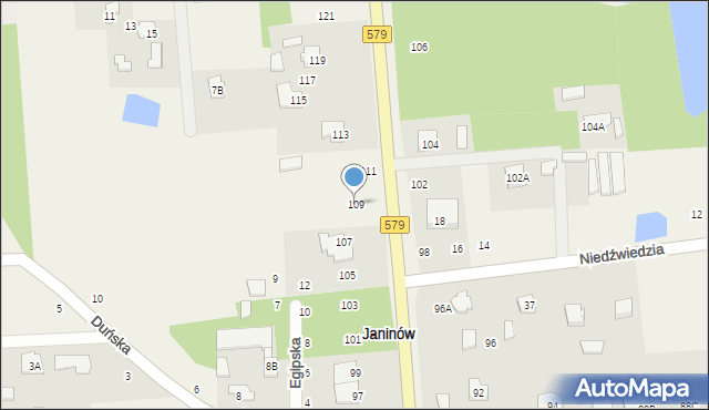 Janinów, Radziejowicka, 109, mapa Janinów