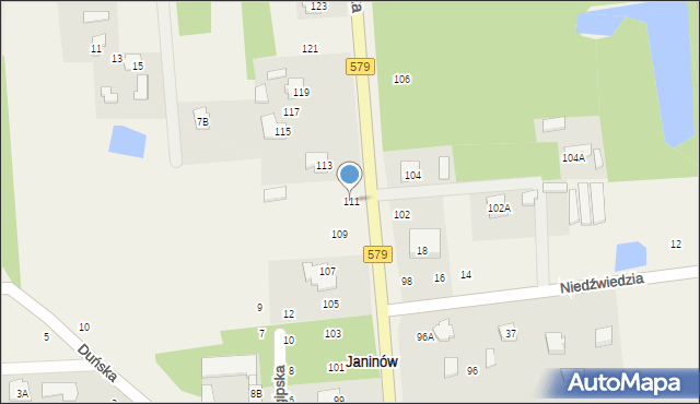 Janinów, Radziejowicka, 111, mapa Janinów