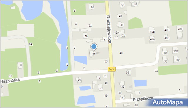 Janinów, Radziejowicka, 55, mapa Janinów