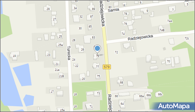 Janinów, Radziejowicka, 79, mapa Janinów
