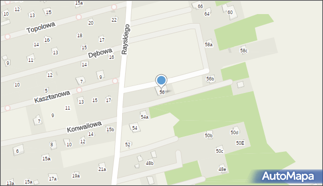 Łacha, Rayskiego Ludomiła, gen., 56, mapa Łacha