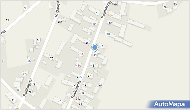 Radostynia, Radostynia, 45, mapa Radostynia