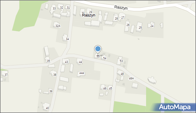 Raszyn, Raszyn, 55, mapa Raszyn