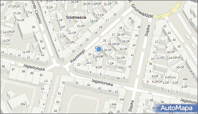 Szczecin, Rayskiego Ludomiła, gen., 25-OF, mapa Szczecina