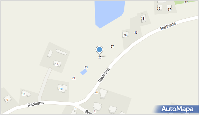 Tokary, Radosna, 25, mapa Tokary