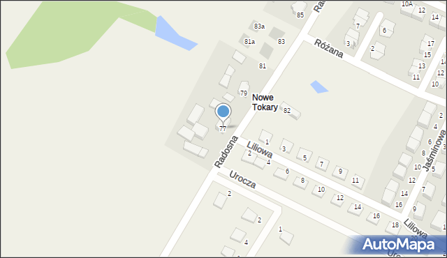 Tokary, Radosna, 77, mapa Tokary