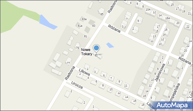 Tokary, Radosna, 82, mapa Tokary