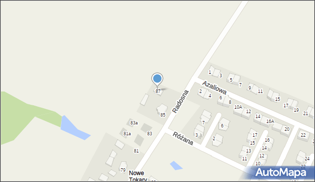 Tokary, Radosna, 87, mapa Tokary