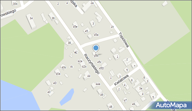 Zaniemyśl, Raczyńskiego, 45b, mapa Zaniemyśl