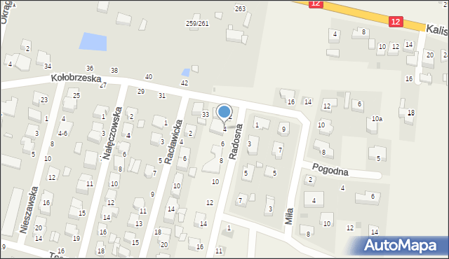 Zduny, Radosna, 4, mapa Zduny