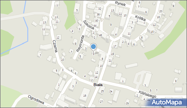 Biała, Reymonta Władysława, 1, mapa Biała