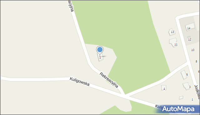 Pszczew, Rekreacyjna, 1, mapa Pszczew
