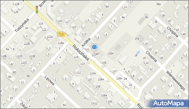 Andrespol, Rokicińska, 111A, mapa Andrespol