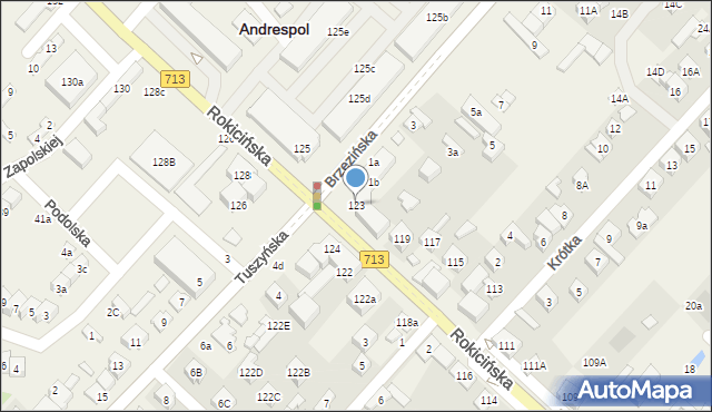 Andrespol, Rokicińska, 123, mapa Andrespol