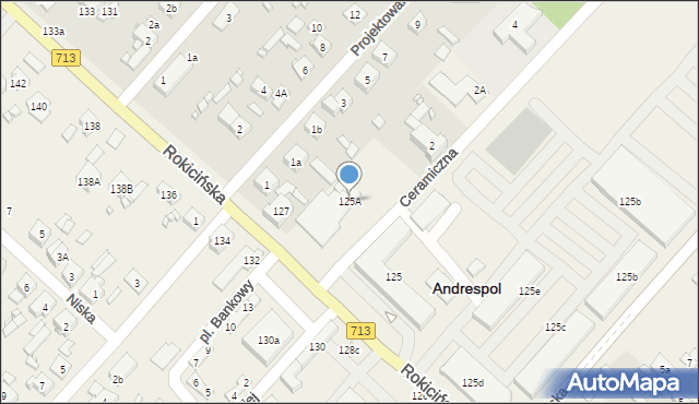 Andrespol, Rokicińska, 125A, mapa Andrespol
